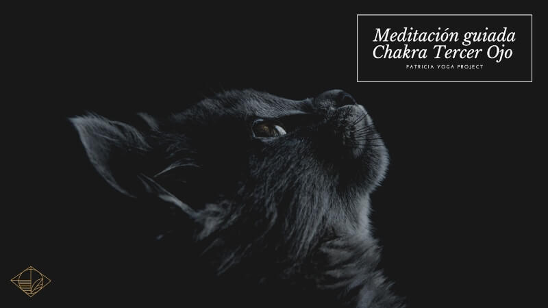 Meditación guiada